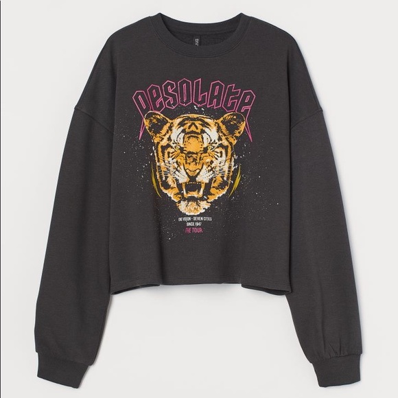 H&M Tops - H&M DIVIDED Charcoal Gray Desolate Tiger Graphic Long Sleeve Crop Sweater